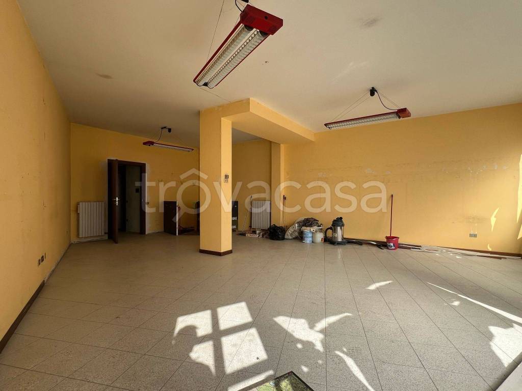 immagine annuncio 7 di 14