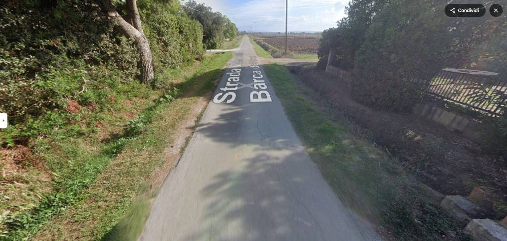 immagine annuncio 10 di 13