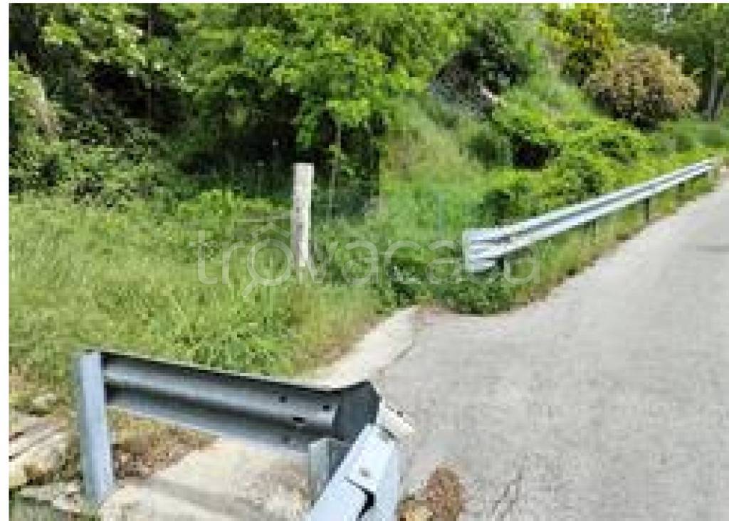 immagine annuncio 5 di 11