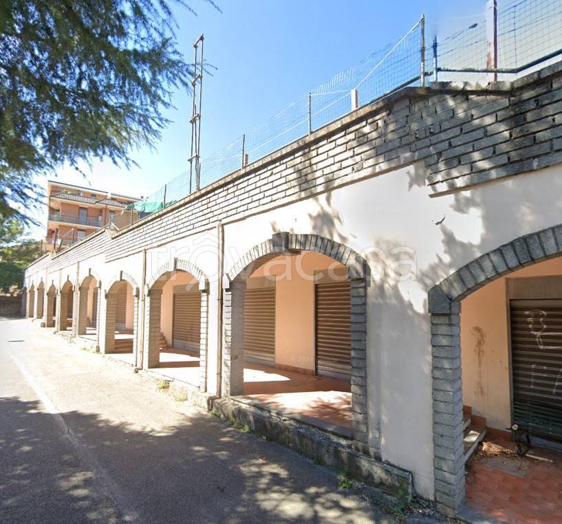 immagine annuncio 4 di 6