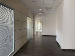 Ufficio in affitto ad ancona 