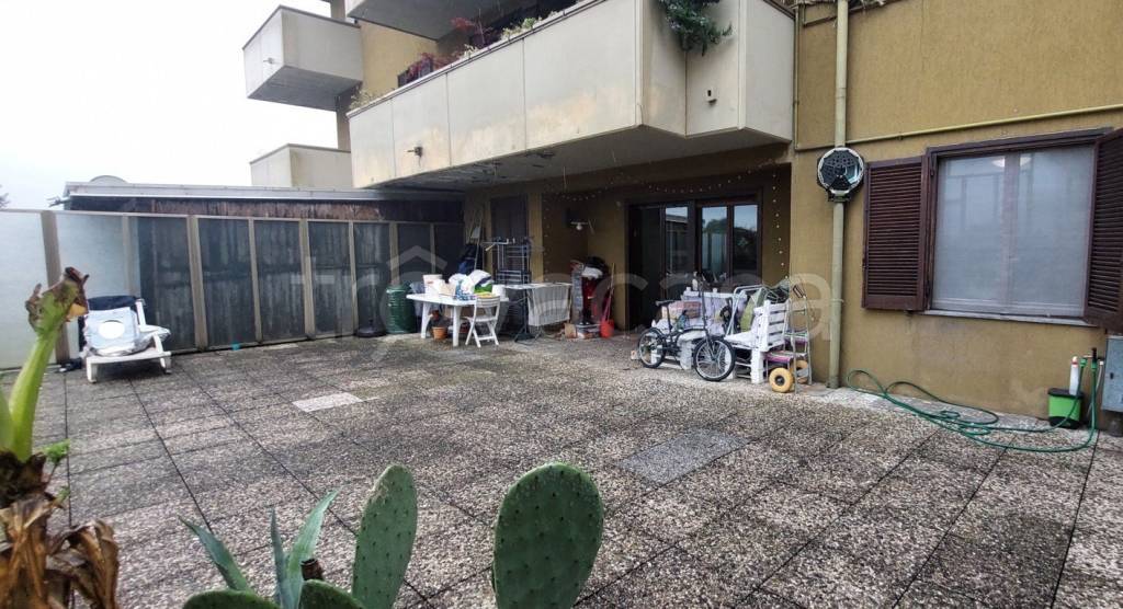 immagine annuncio 10 di 15