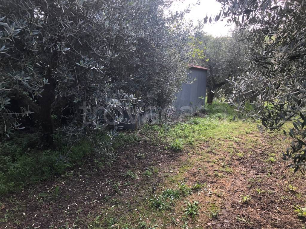 immagine annuncio 1 di 3