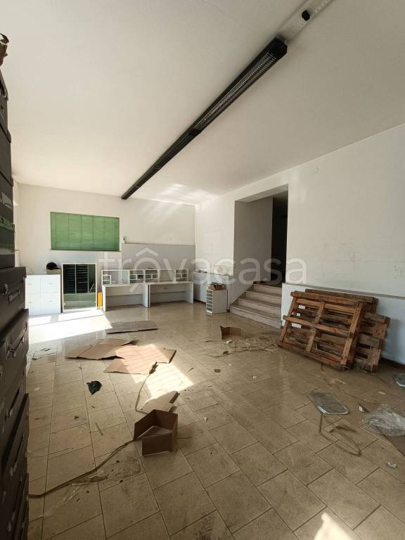immagine annuncio 9 di 12