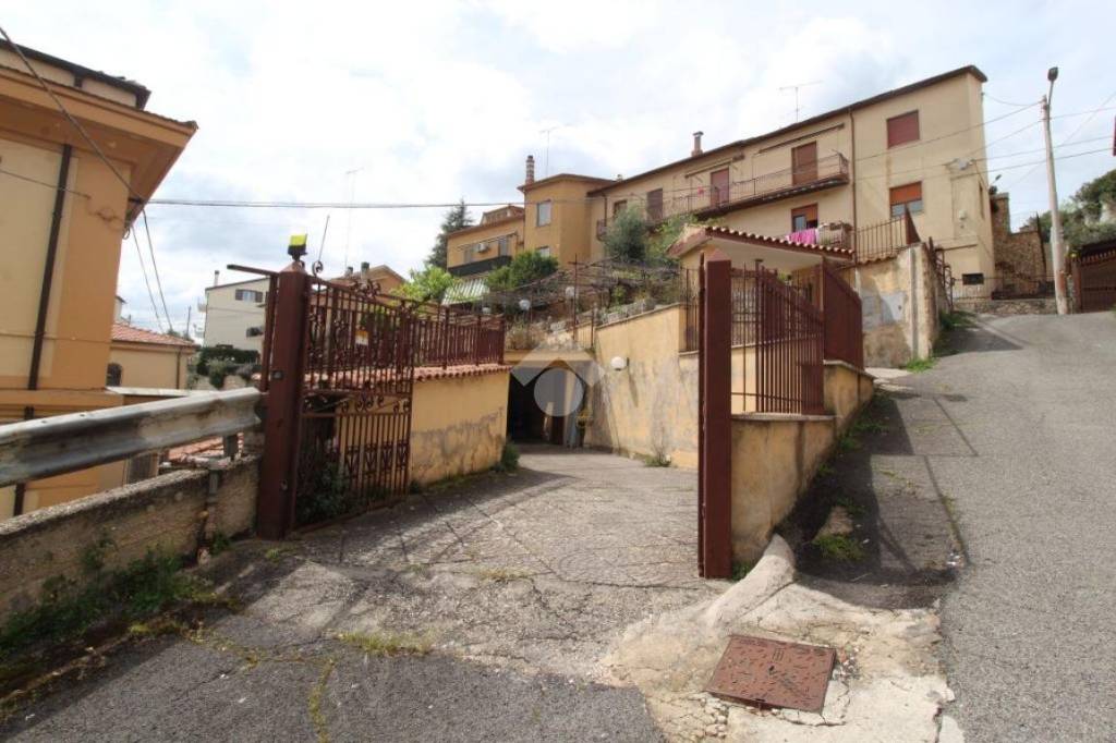 immagine annuncio 12 di 13