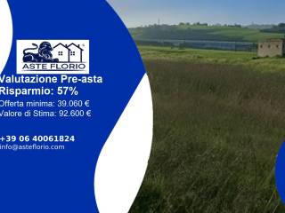 Terreno agricolo all'asta a fermo contrada storno