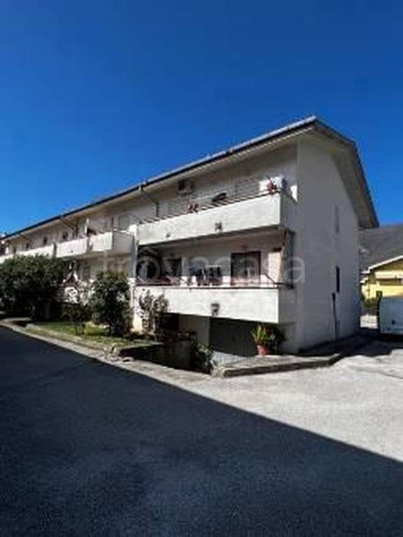 immagine annuncio 2 di 11