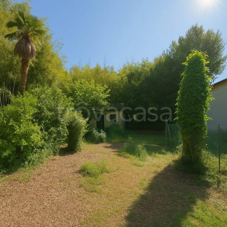 immagine annuncio 8 di 12