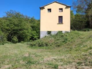 Colonica in in vendita da privato a busso strada interpoderale santa maria