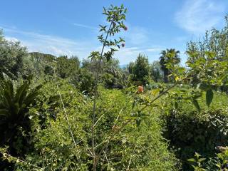 Terreno agricolo in vendita a napoli via marechiaro, 11