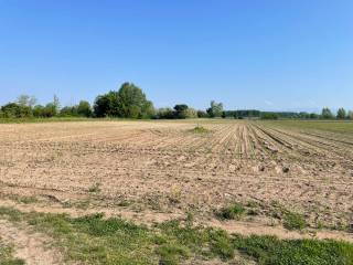 Terreno agricolo in vendita a isola della scala 