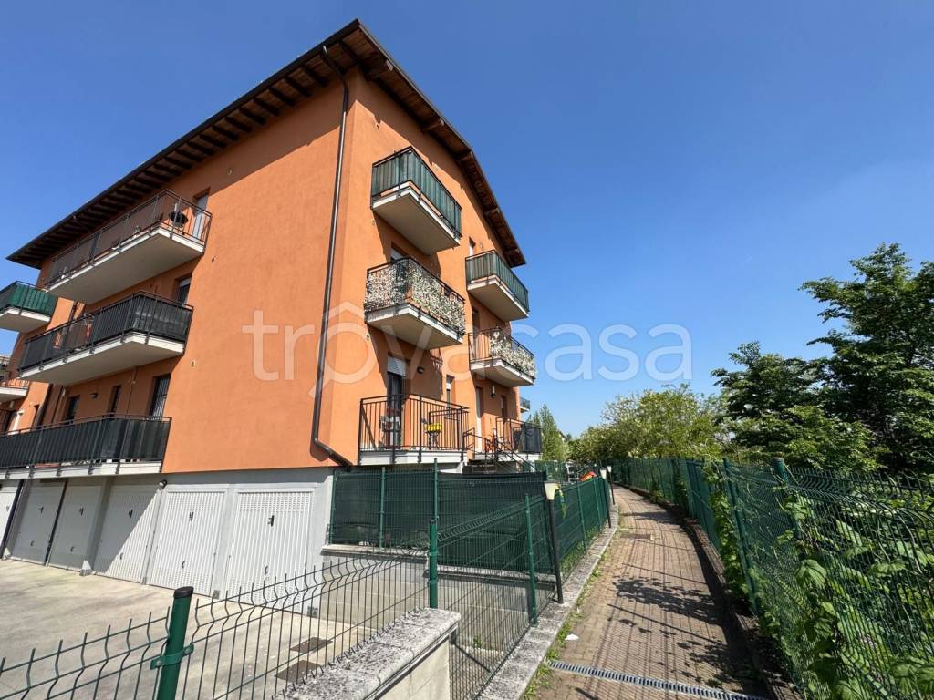 immagine annuncio 2 di 15
