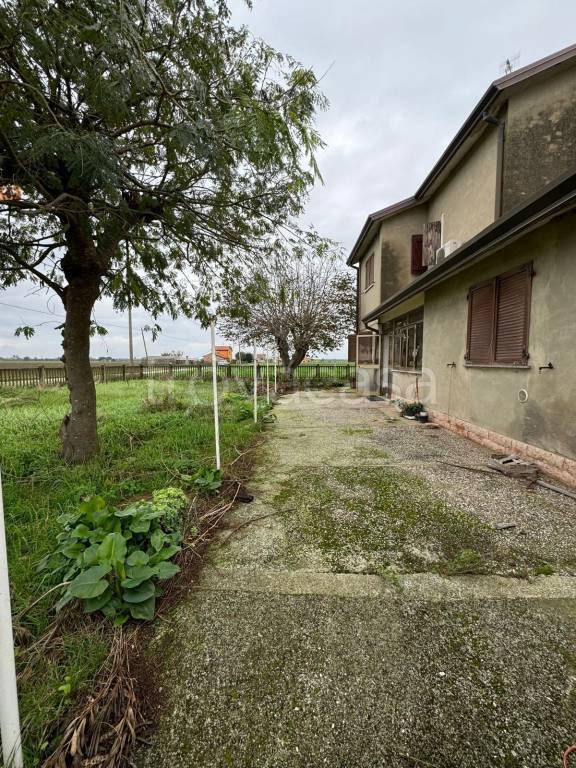 immagine annuncio 3 di 11