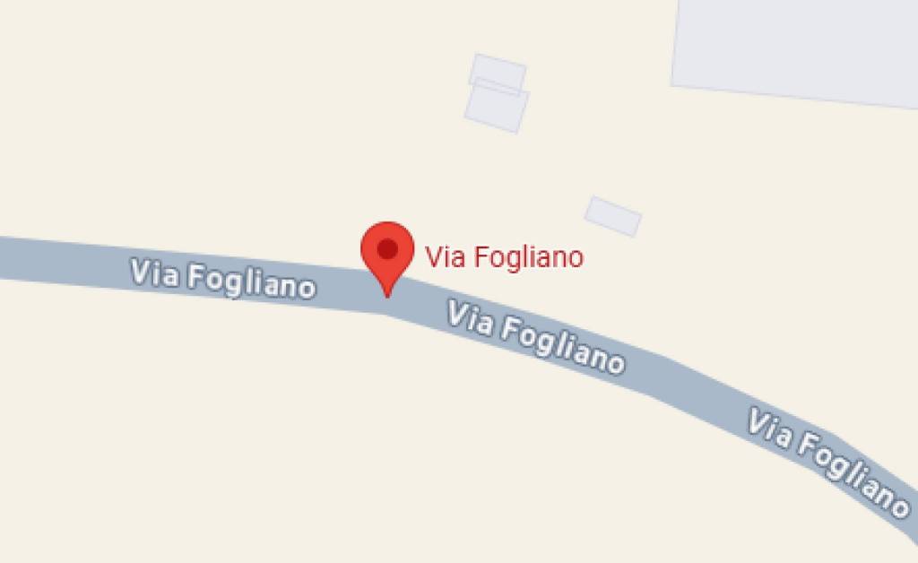 immagine annuncio 11 di 12