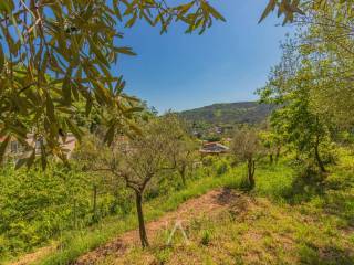 Terreno agricolo in vendita a savona via beato antonio botta