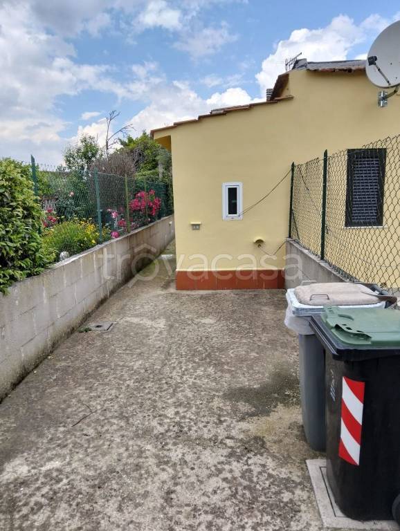 immagine annuncio 8 di 15