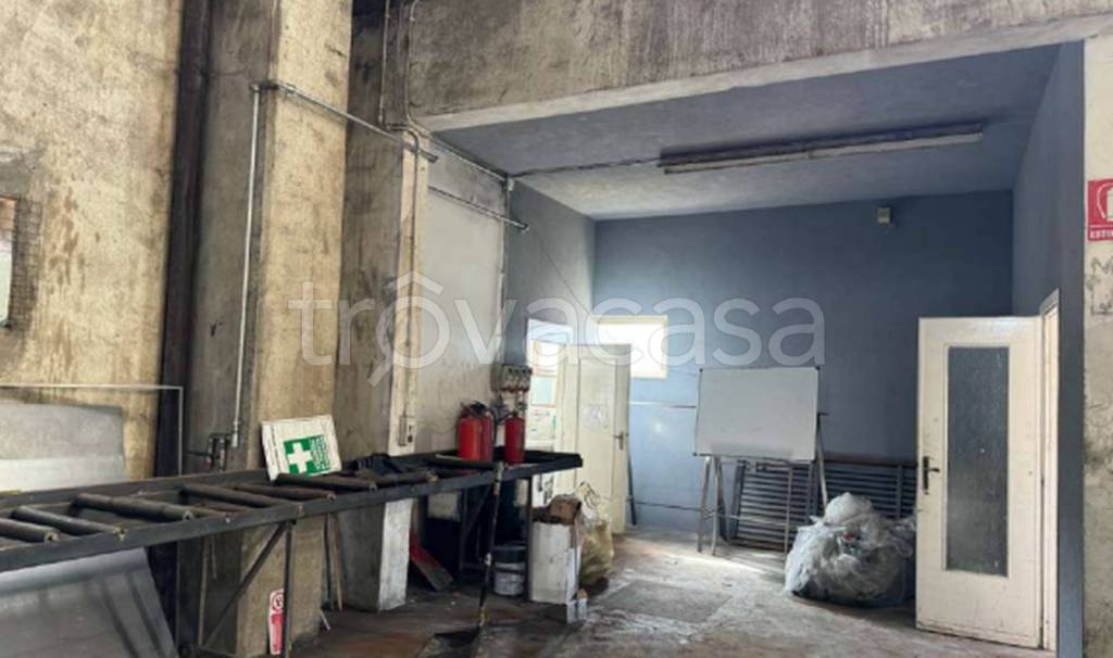 immagine annuncio 5 di 12