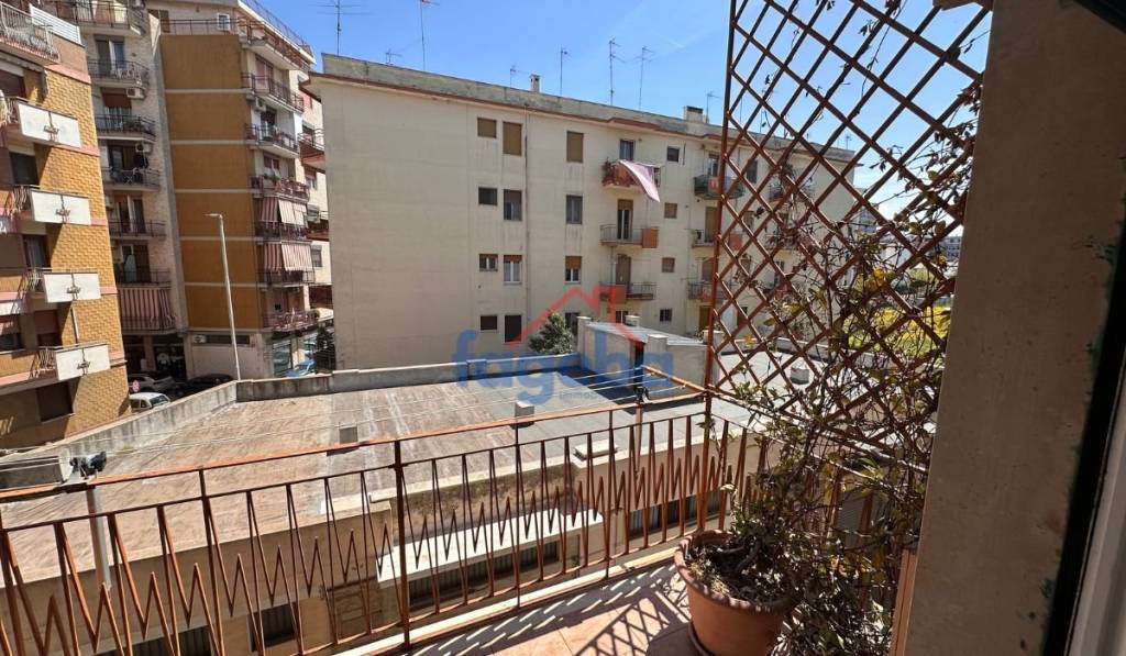 immagine annuncio 6 di 14