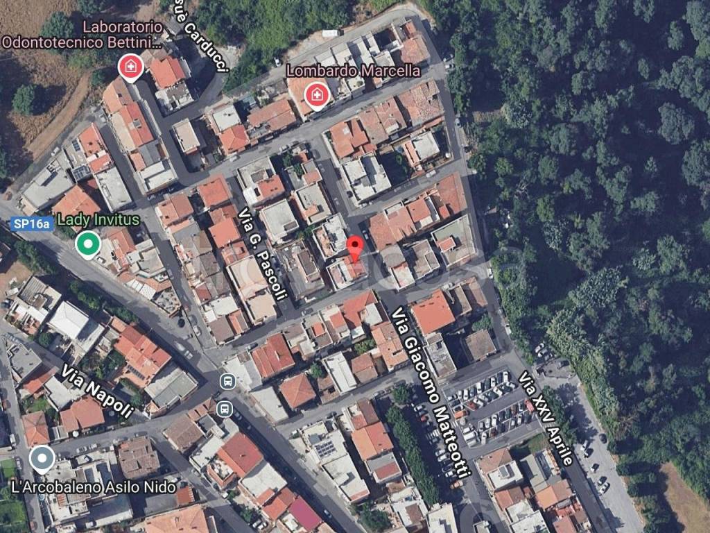 immagine annuncio 1 di 11
