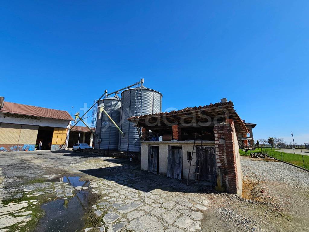 immagine annuncio 9 di 15