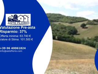Terreno agricolo all'asta a urbino località rancitella