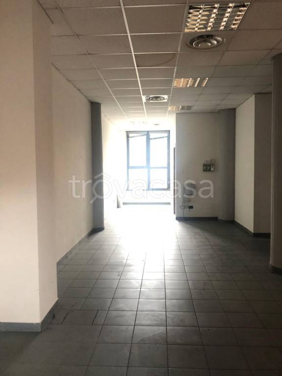 immagine annuncio 2 di 8