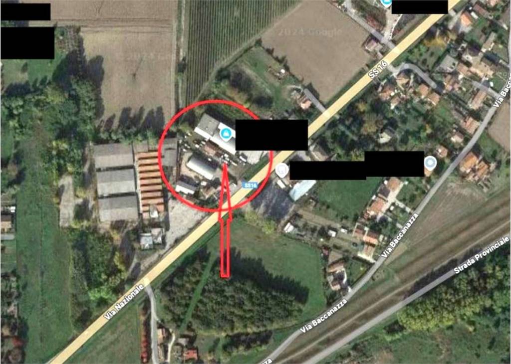 immagine annuncio 12 di 15