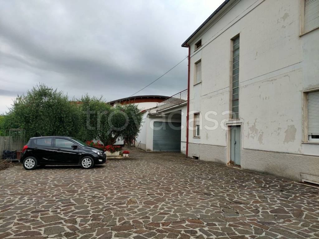 immagine annuncio 6 di 14