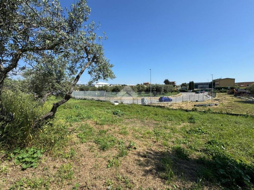 immagine annuncio 10 di 14