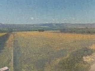 Terreno agricolo all'asta a carpino sp51