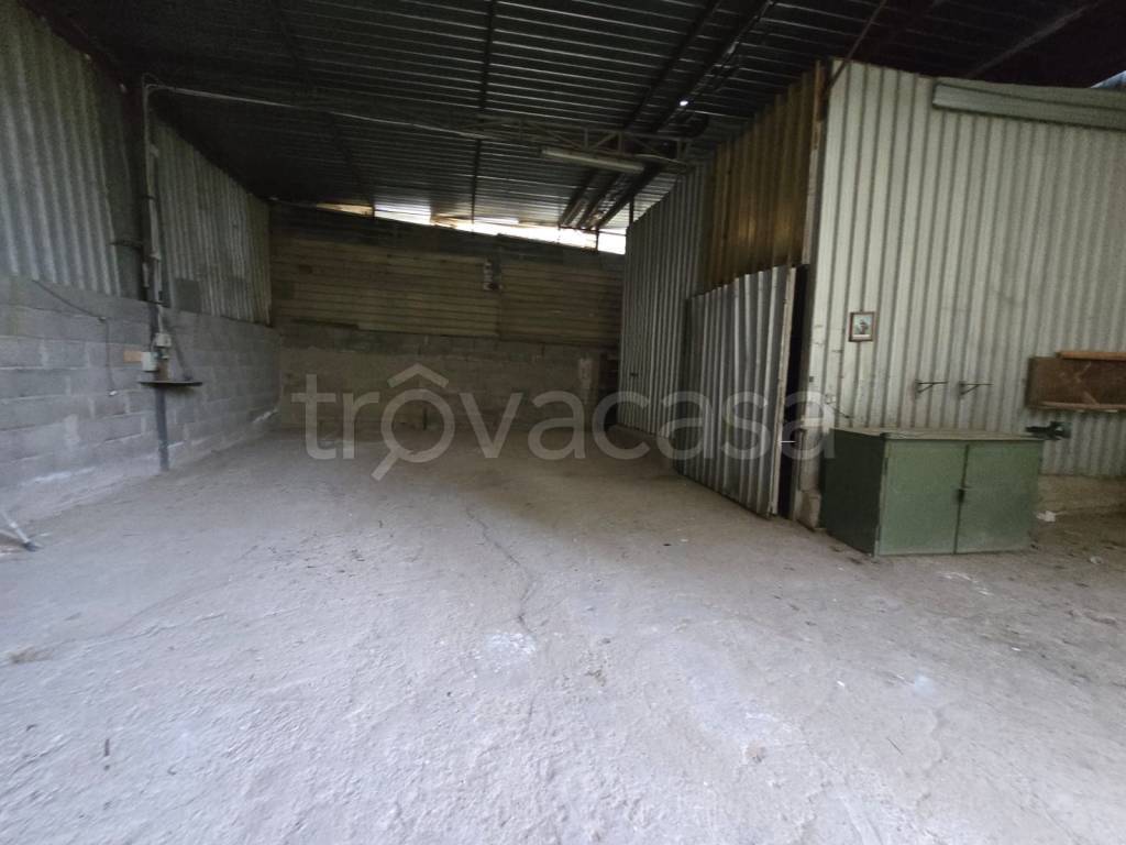 immagine annuncio 4 di 8