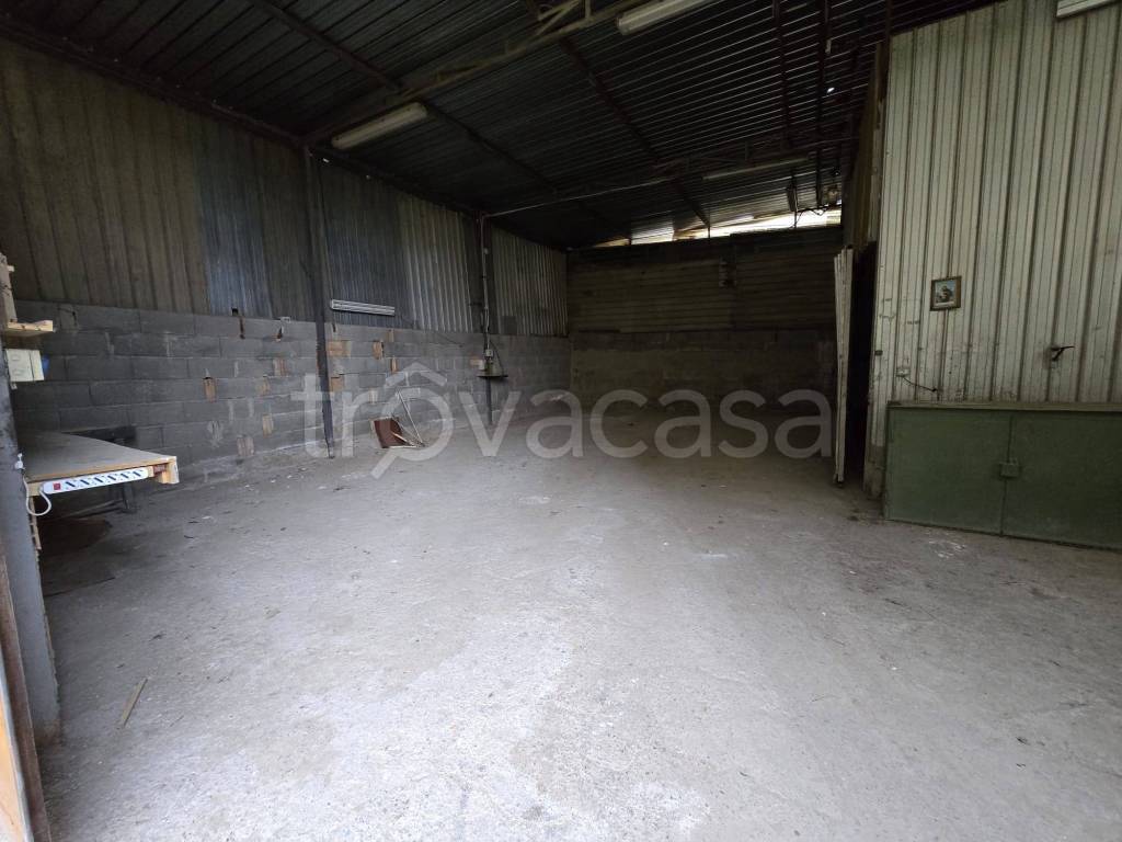 immagine annuncio 5 di 8