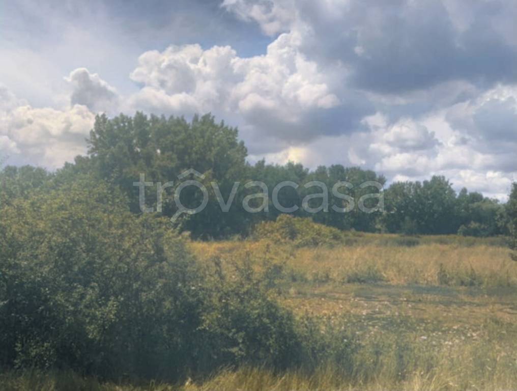 immagine annuncio 5 di 9