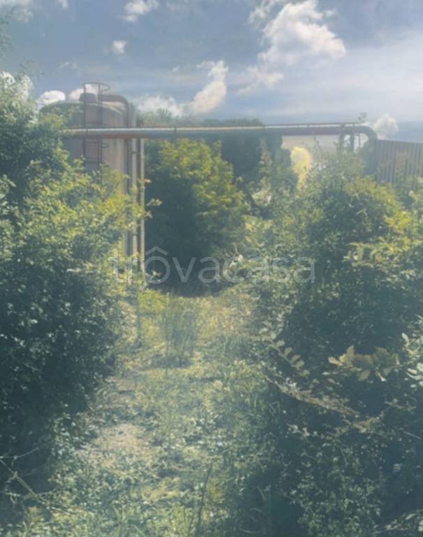 immagine annuncio 8 di 9