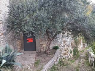 Terreno agricolo in vendita ad amelia via della valle
