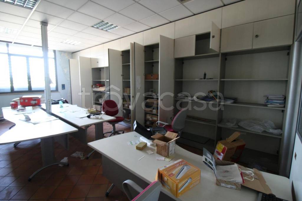 immagine annuncio 10 di 12