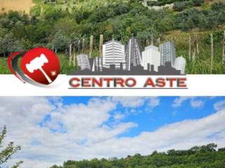 Terreno agricolo all'asta a chieti strada dei vigneti, 15