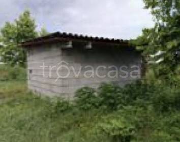 immagine annuncio 8 di 12