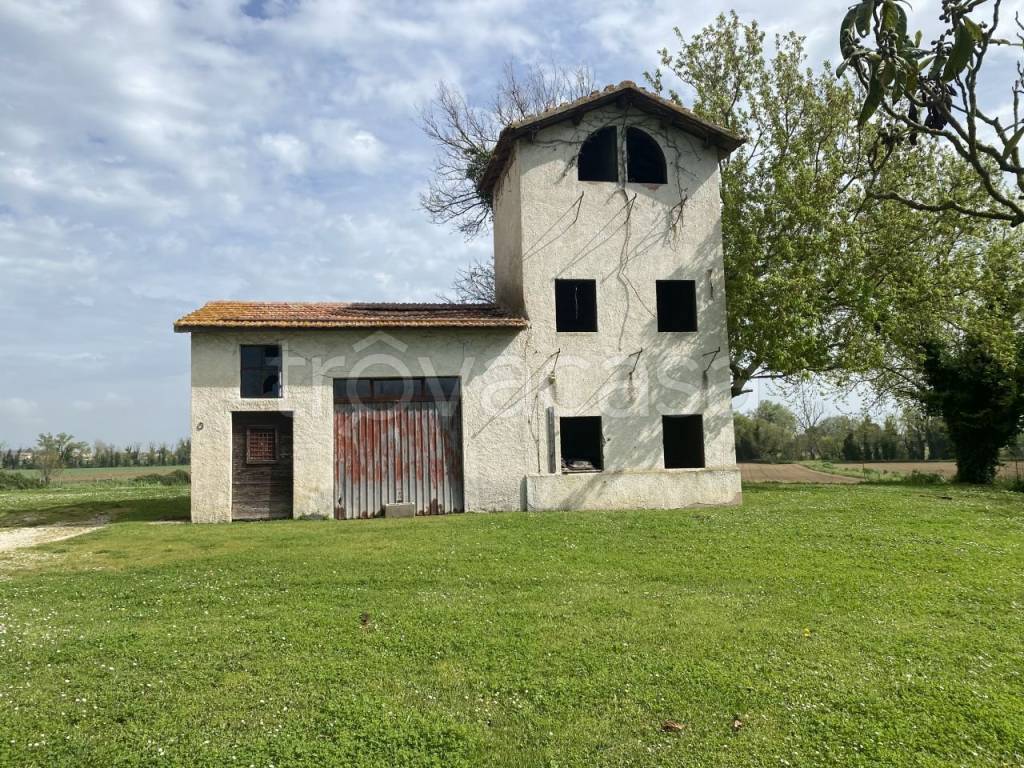 immagine annuncio 2 di 6