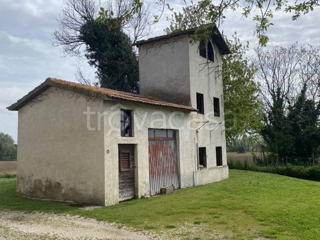immagine annuncio 3 di 6