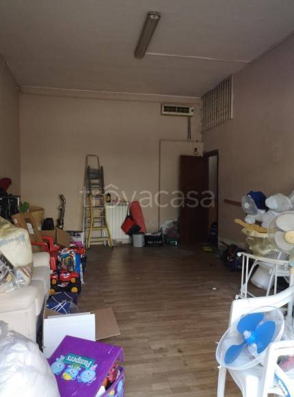 immagine annuncio 7 di 12
