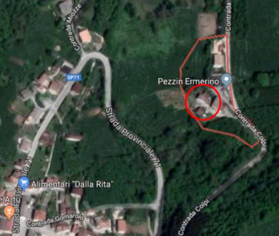 immagine annuncio 7 di 11