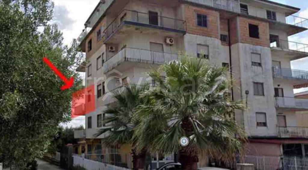 immagine annuncio 9 di 12