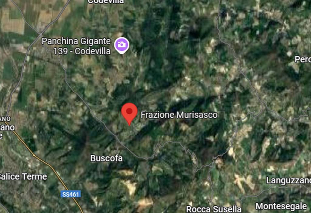 immagine annuncio 2 di 14