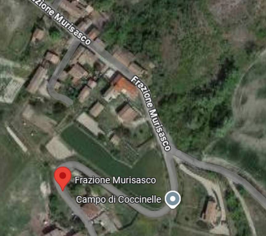 immagine annuncio 12 di 14