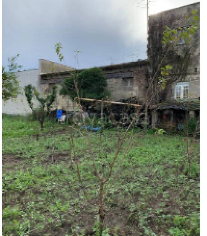 immagine annuncio 4 di 11