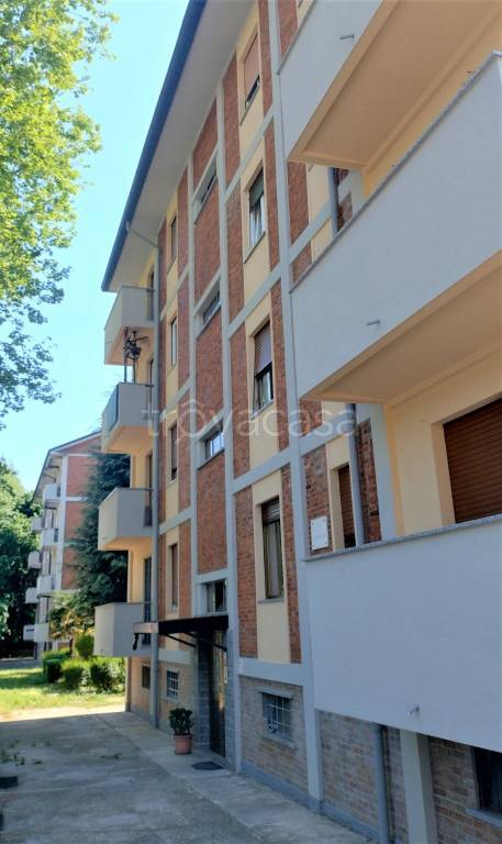immagine annuncio 1 di 9