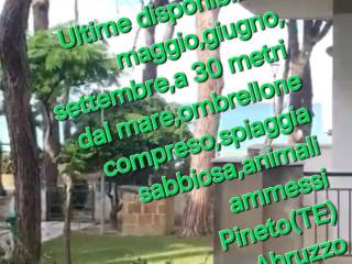 Appartamento in in affitto da privato a pineto via piemonte, 7