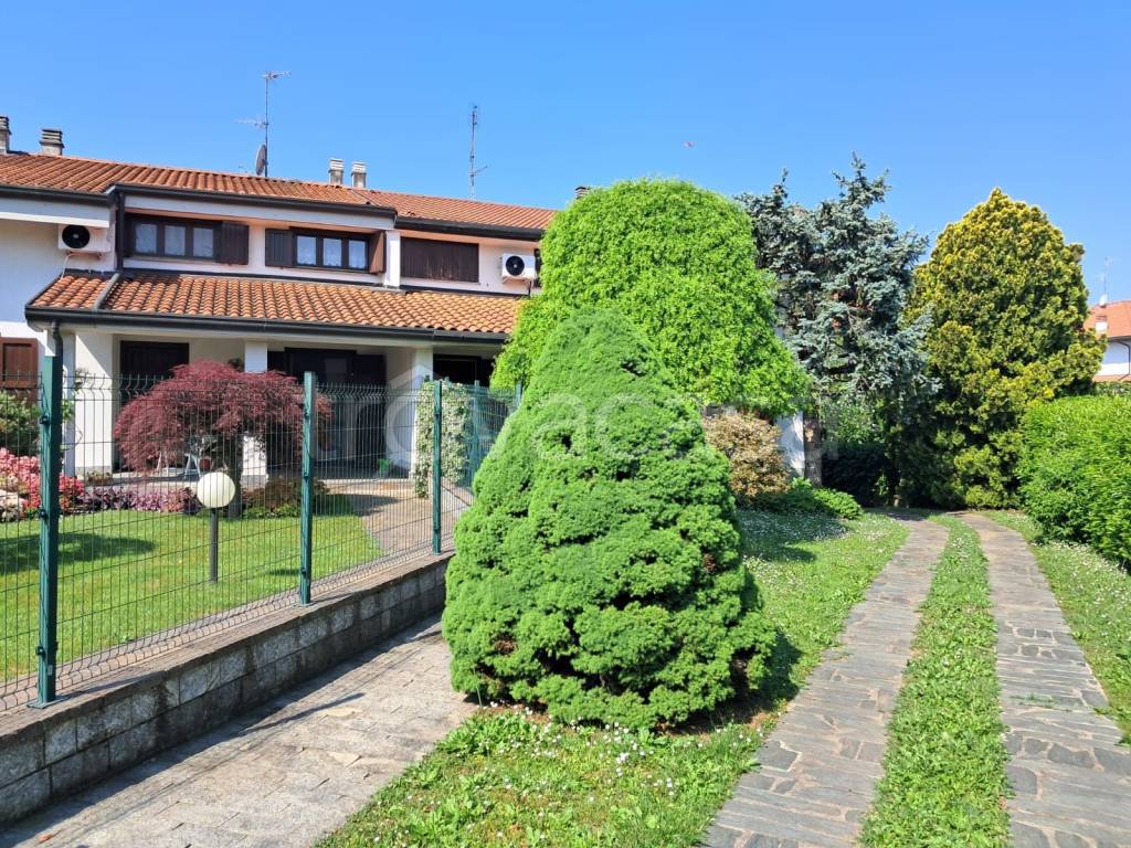 immagine annuncio 3 di 15