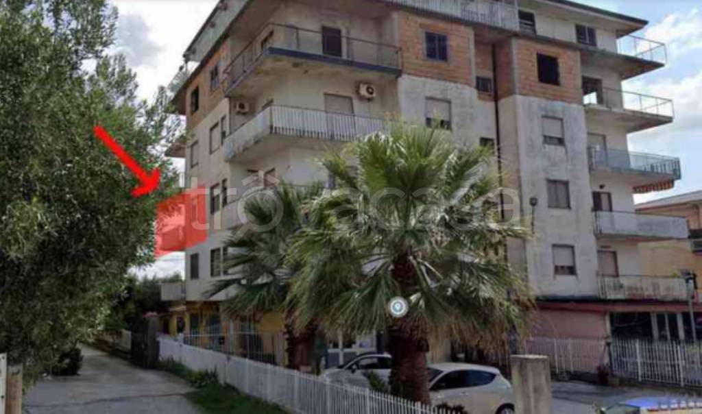 immagine annuncio 2 di 11